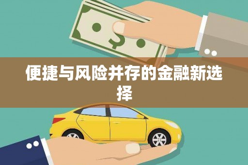 合肥便捷与风险并存的金融新选择