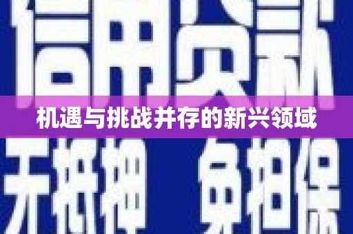 合肥机遇与挑战并存的新兴领域