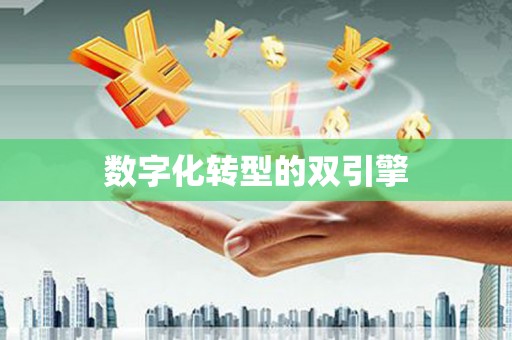 合肥数字化转型的双引擎