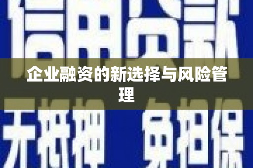 合肥企业融资的新选择与风险管理
