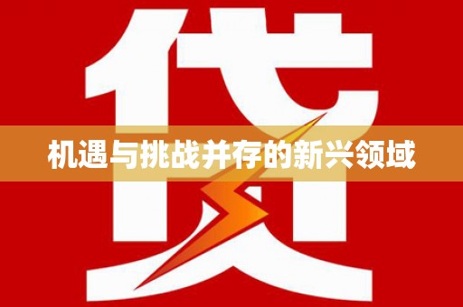 合肥机遇与挑战并存的新兴领域