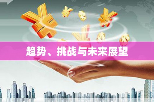 合肥趋势、挑战与未来展望