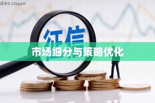 合肥市场细分与策略优化