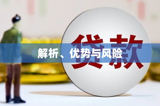 合肥解析、优势与风险