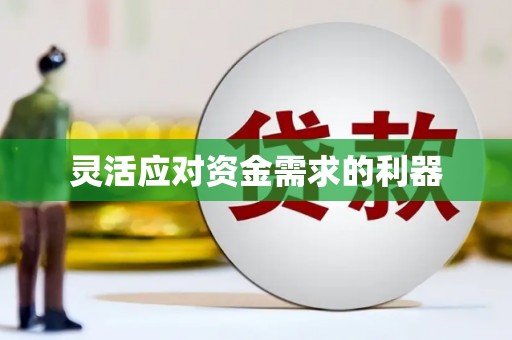 合肥灵活应对资金需求的利器