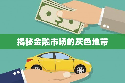 合肥揭秘金融市场的灰色地带