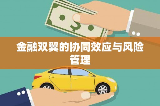 合肥金融双翼的协同效应与风险管理