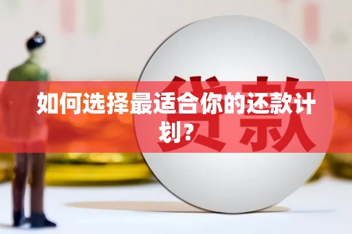 合肥如何选择最适合你的还款计划？