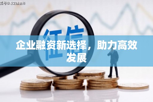 合肥企业融资新选择，助力高效发展