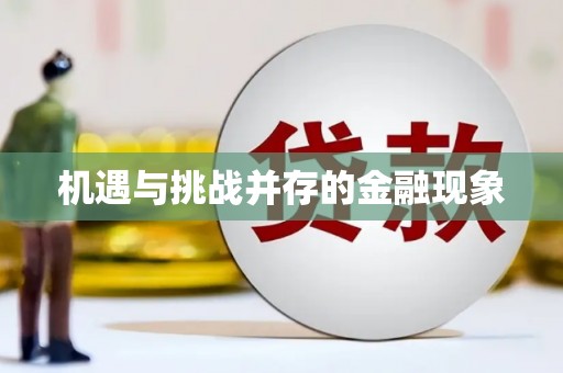 合肥机遇与挑战并存的金融现象