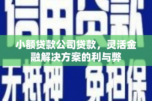 合肥小额贷款公司贷款，灵活金融解决方案的利与弊